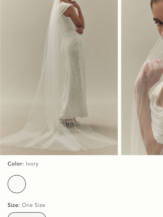 BHLDN Other - BHLDN Ivory Lace Sheath Bridal Gown with Veil
